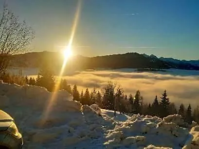 Kohlegghof